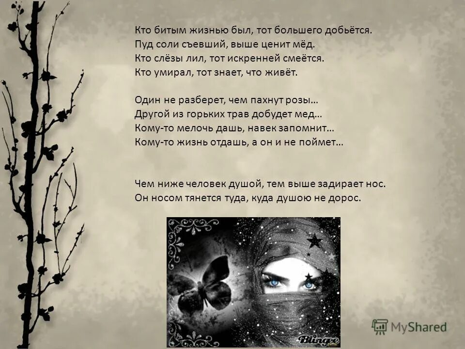 Пуд соли съевший выше ценит. Кто слёзы лил тот искренне смеётся. Воробей под дождем. Кто битыйм былтот большего. Пуд соли съевший выше ценит мед.