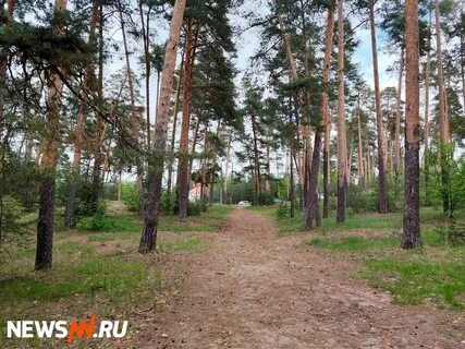 Нижний новгород моховые горы завтра
