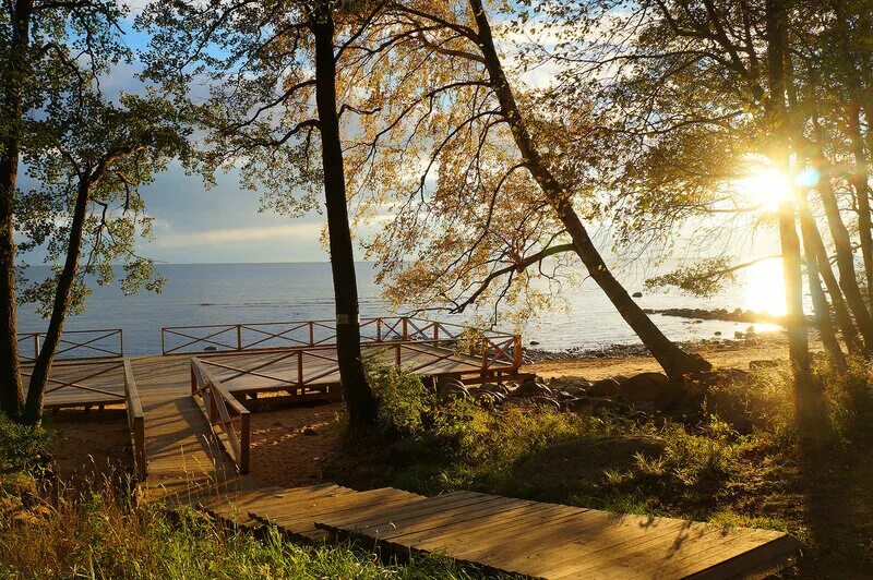 Пустыня пейзаж. Пляж ласковый поселок солнечный спб. Пейзажи. Золотой пляж зеленогорск солнечное. Питер финский залив сосновый бор.