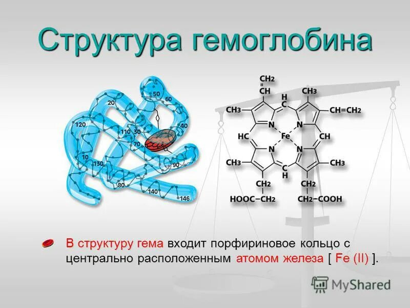 Железо в роли элемента. Строение гемоглобина схема. Химическая структура гемоглобина. Молекула гемоглобина.