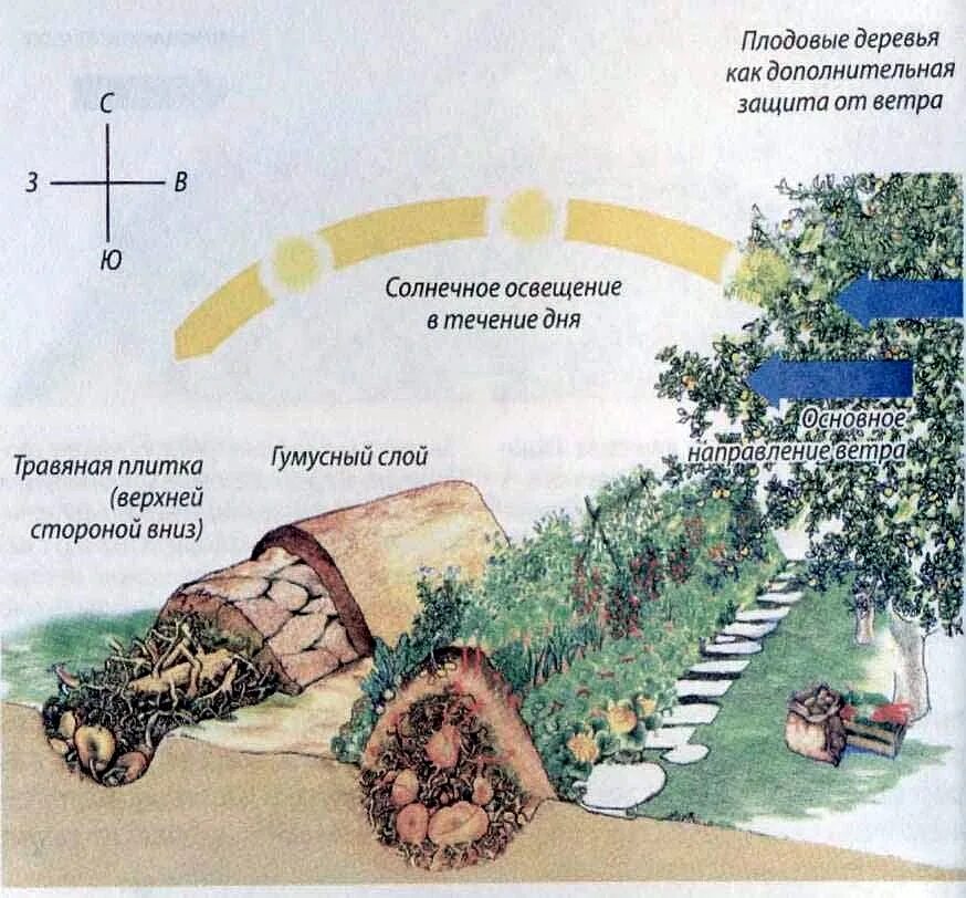 Грядки на участке по сторонам света. Холмистые грядки Зеппа Хольцера. Грядка Хольцера схема. Высокие грядки по Зеппу Хольцеру схема. Холмистые гряды Зеппа Хольцера схема.