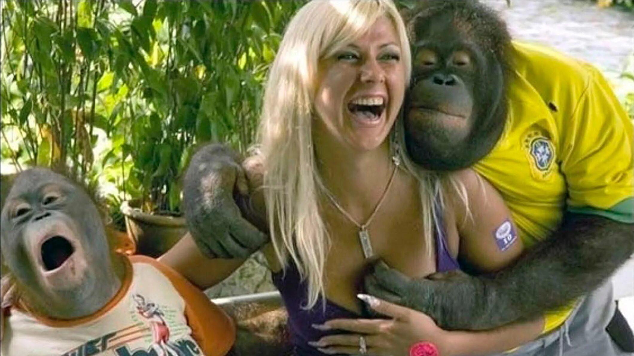 со смешных видео. самые смешные видеоролики. со смешных видео. верблюд плюется. приколы самые смешные.