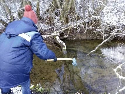 Погода в дороничах на 10 дней