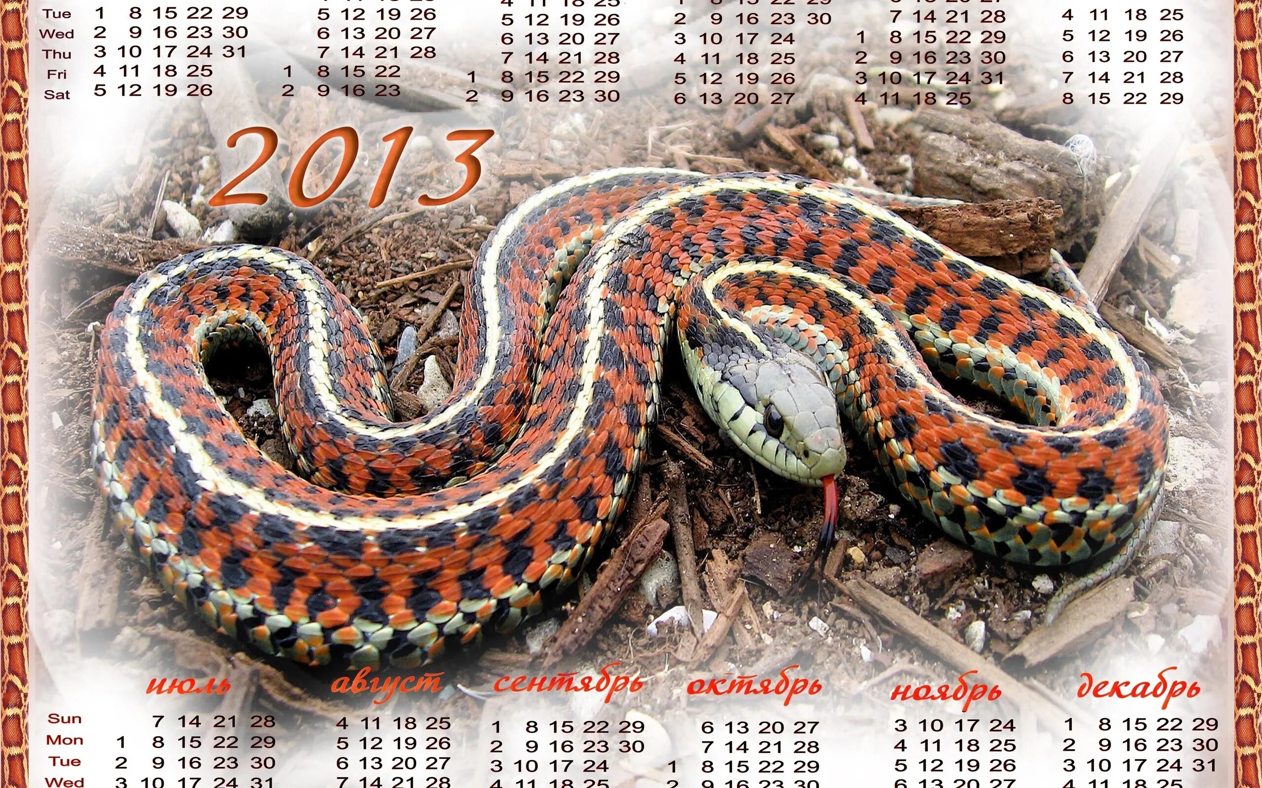 Календарь змеи. Календарь 2013 год змеи. Календарь со змеей. Когда будет год змеи. Следующий год змеи