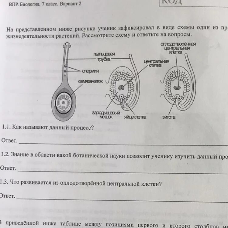 Впр по биологии 6 класс