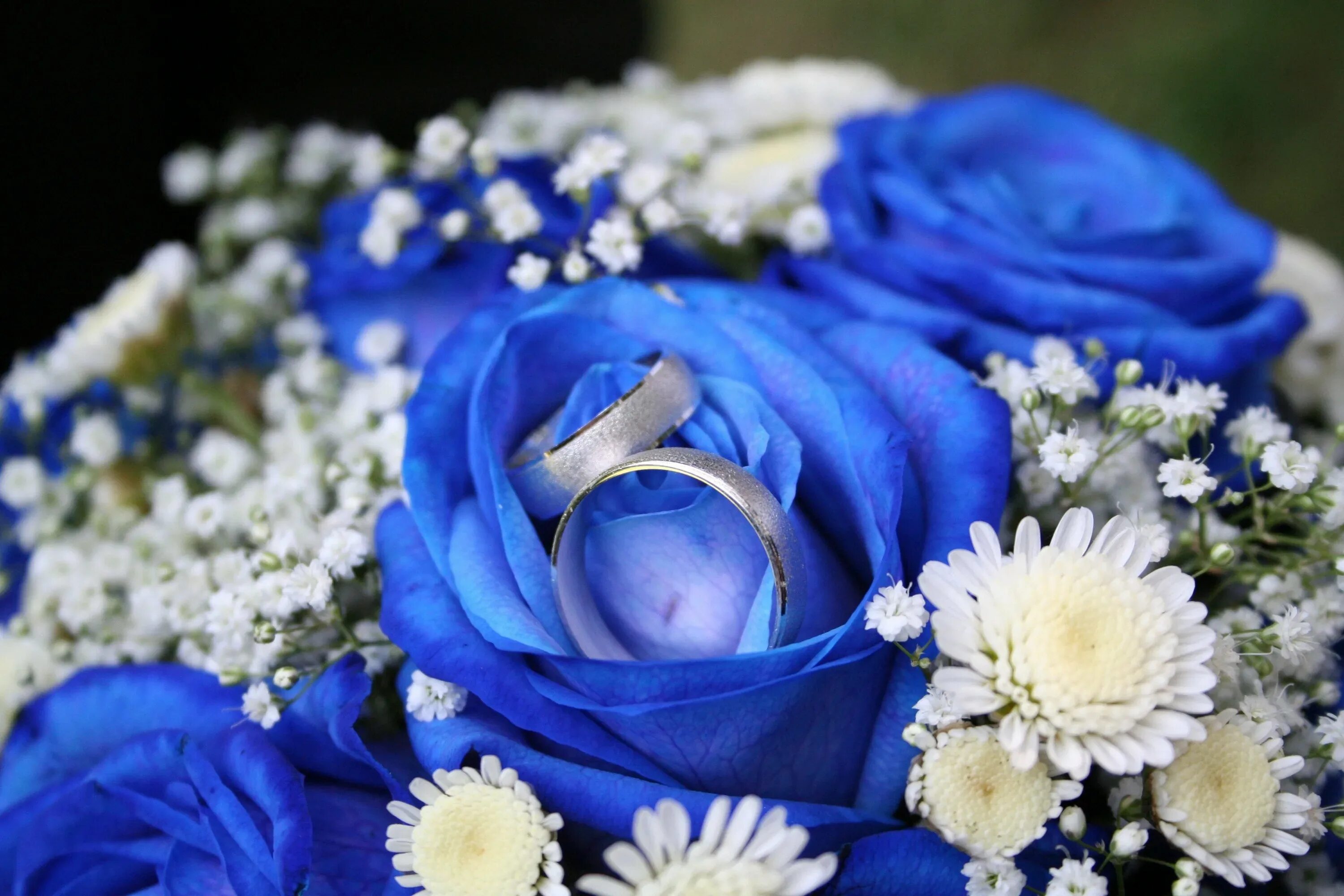 Свадьба в синем цвете. Синие цветы. Сапфировая свадьба. Подарок на сапфировую свадьбу. С сапфировой свадьбой 45
