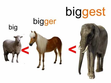 Big org