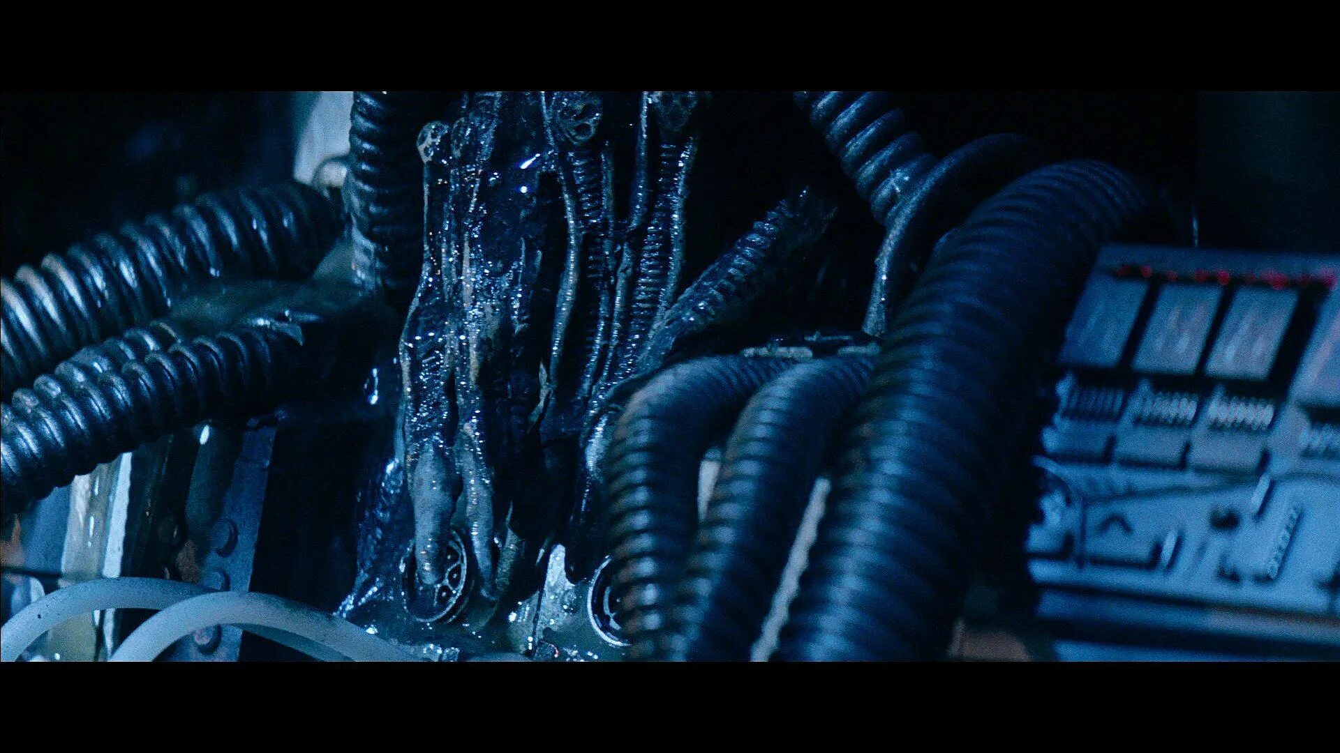 чужой фильм 1979 планета. чужой против хищника реквием 2008. чужой 2001. слушать музыку из кинофильма чужой. слушать музыку из кинофильма чужой.