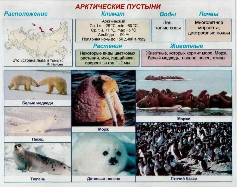 Арктика зона арктических пустынь. Арктические пустыни природная зона. Таблица природных зон России (Арктика зона арктических пустынь. Природные зоны арктические пустыни таблица. Природные зоны россии арктические пустыни животные