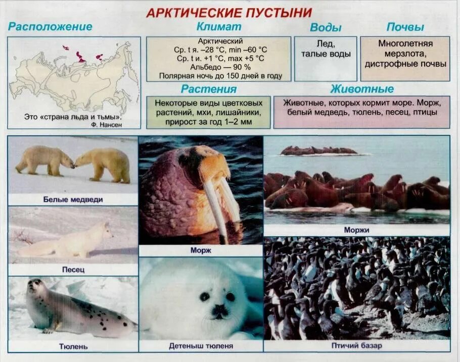 Конспект урока арктические пустыни 4 класс. Природная зона арктическая пустыня таблица. арктические пустыни природная зона. таблица природные зоны арктические пустыни. арктика арктическая пустыня таблица.