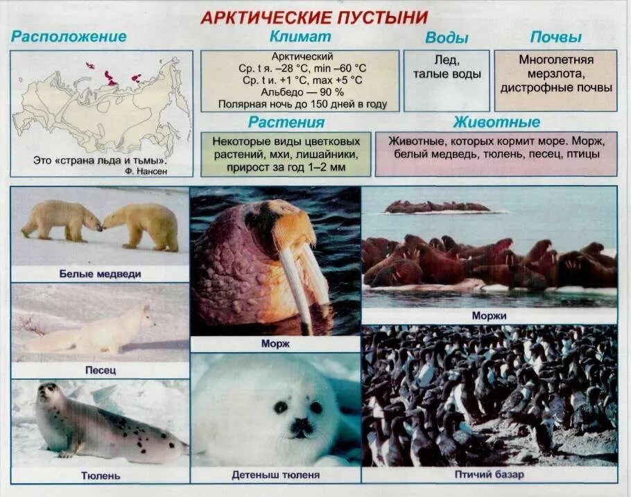 Природные зоны россии арктические пустыни животные. Арктика зона арктических пустынь. Арктические пустыни природная зона. Таблица природных зон России (Арктика зона арктических пустынь. Природные зоны арктические пустыни таблица.