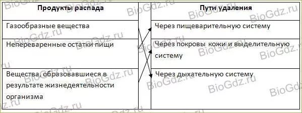 Одинаковые продукты распада удаляются. Продукты выделения животных таблица. Продукты распада это в биологии. Как удаляются из организма определенные продукты распада. Выделение продуктов распада.