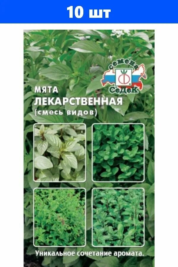 Препараты из лекарственных растений. Лекарственная смесь. Употребление лекарственных препаратов. Синтетические лекарства. Медикаменты на белом фоне.