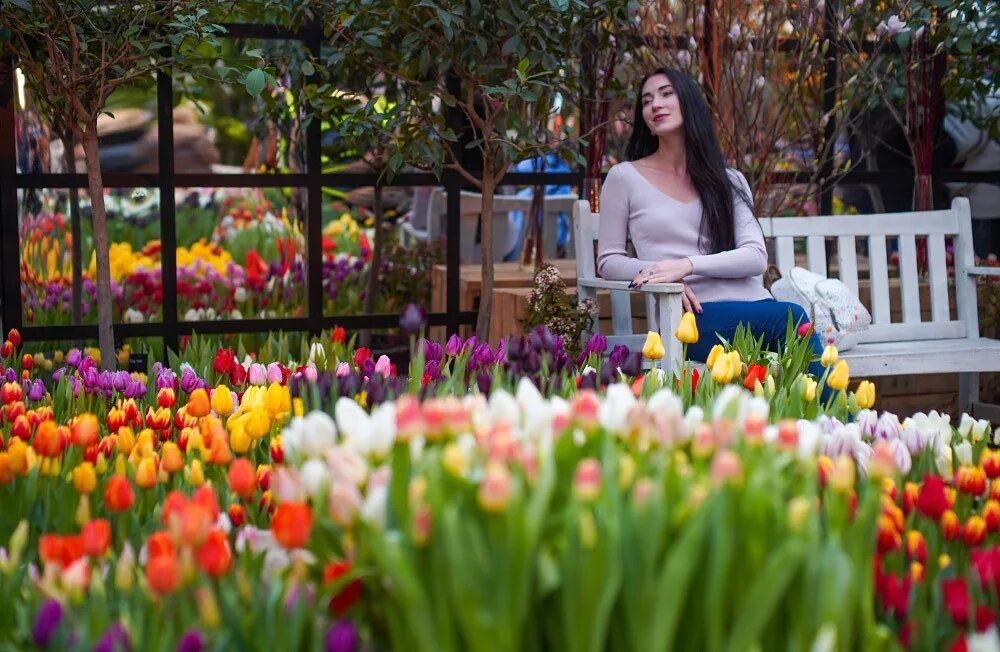 Аптекарский огород выставка тюльпанов. Ботанический сад мгу выставка тюльпанов. Выставка тюльпанов в аптекарском огороде 2024. Тюльпаны в аптекарском огороде 2022. Аптекарский огород выставка тюльпанов.