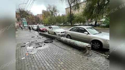 На улице ленина 56 воронеж ударили человека
