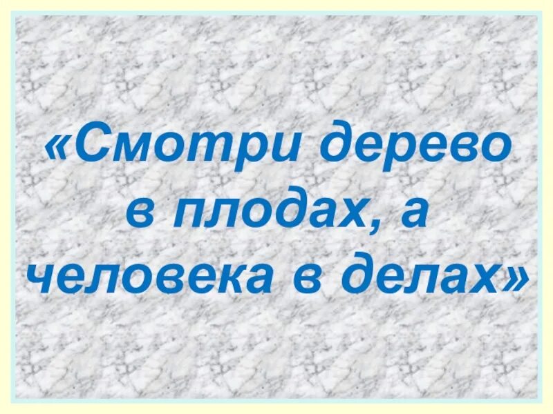 Пословица дерево в плодах. Дерево в плодах а человек в делах.