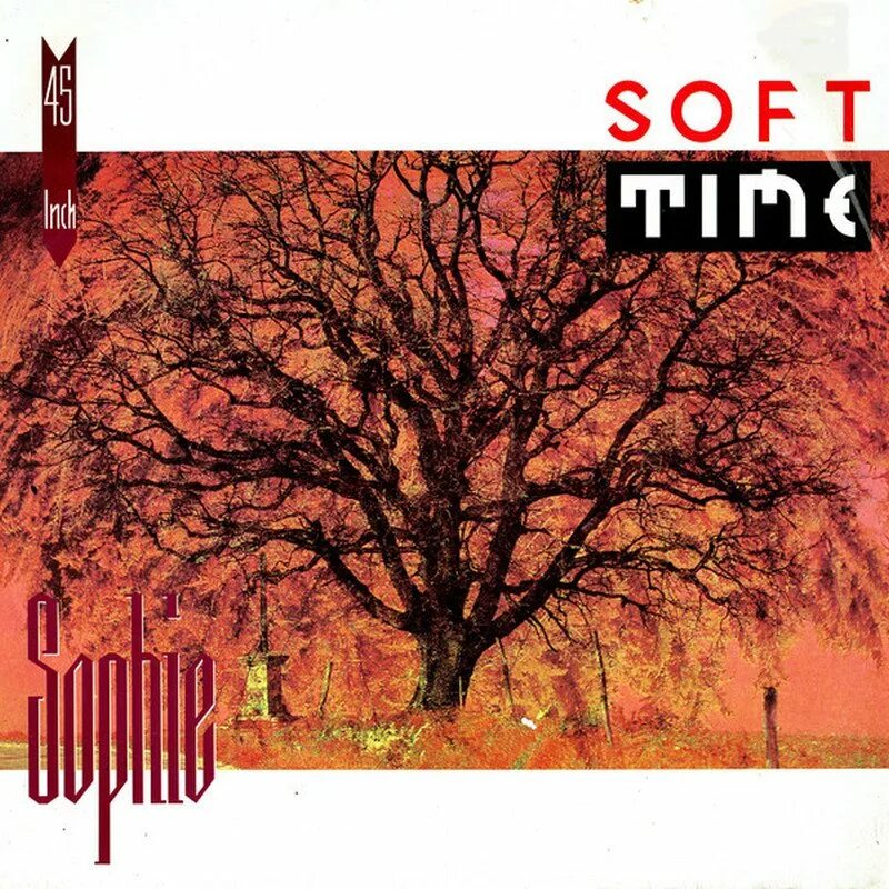 ноги фрейм таймера. Time soft. Software time. Karoly zsolnai feher. Sophie soft.