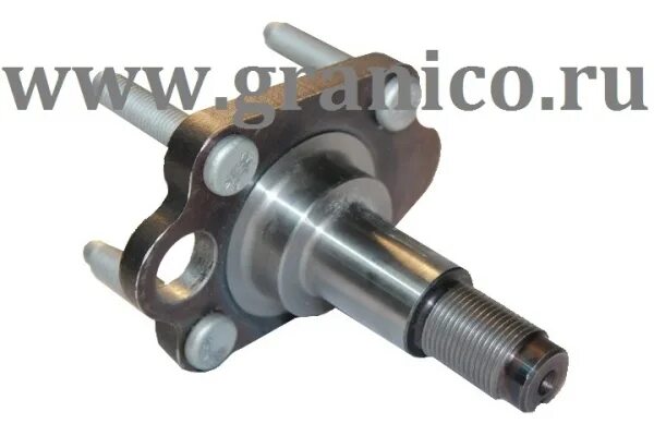 Цапфа задней ступицы. Цапфа ступицы шевроле ланос. Цапфа задней ступицы audi 80. Цапфа задней ступицы. Цапфа задней ступицы.