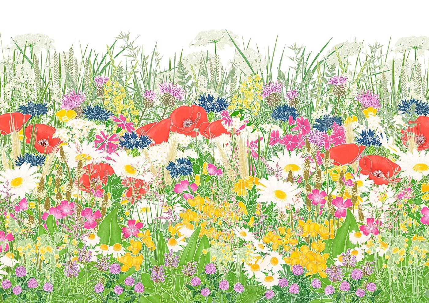 Рисунок луга 1 класс окружающий мир. Поляна цветов для детей. Поле цветов. Цветочный луг. Поляна с цветами цветные.