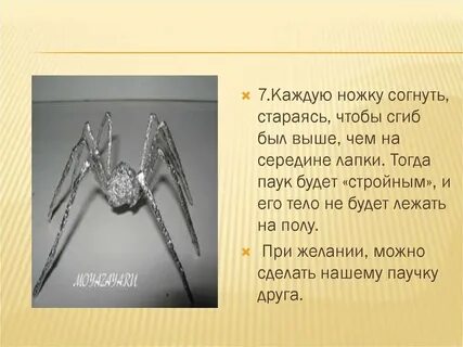 Жил на свете паук это был