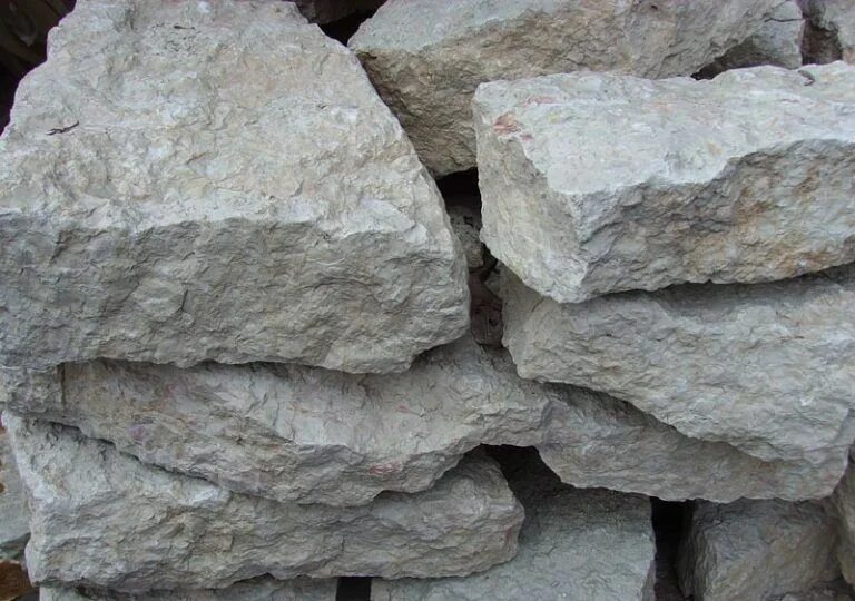 Fossiliferous limestone - Wikipedia
