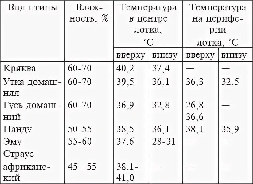Какая температура утки