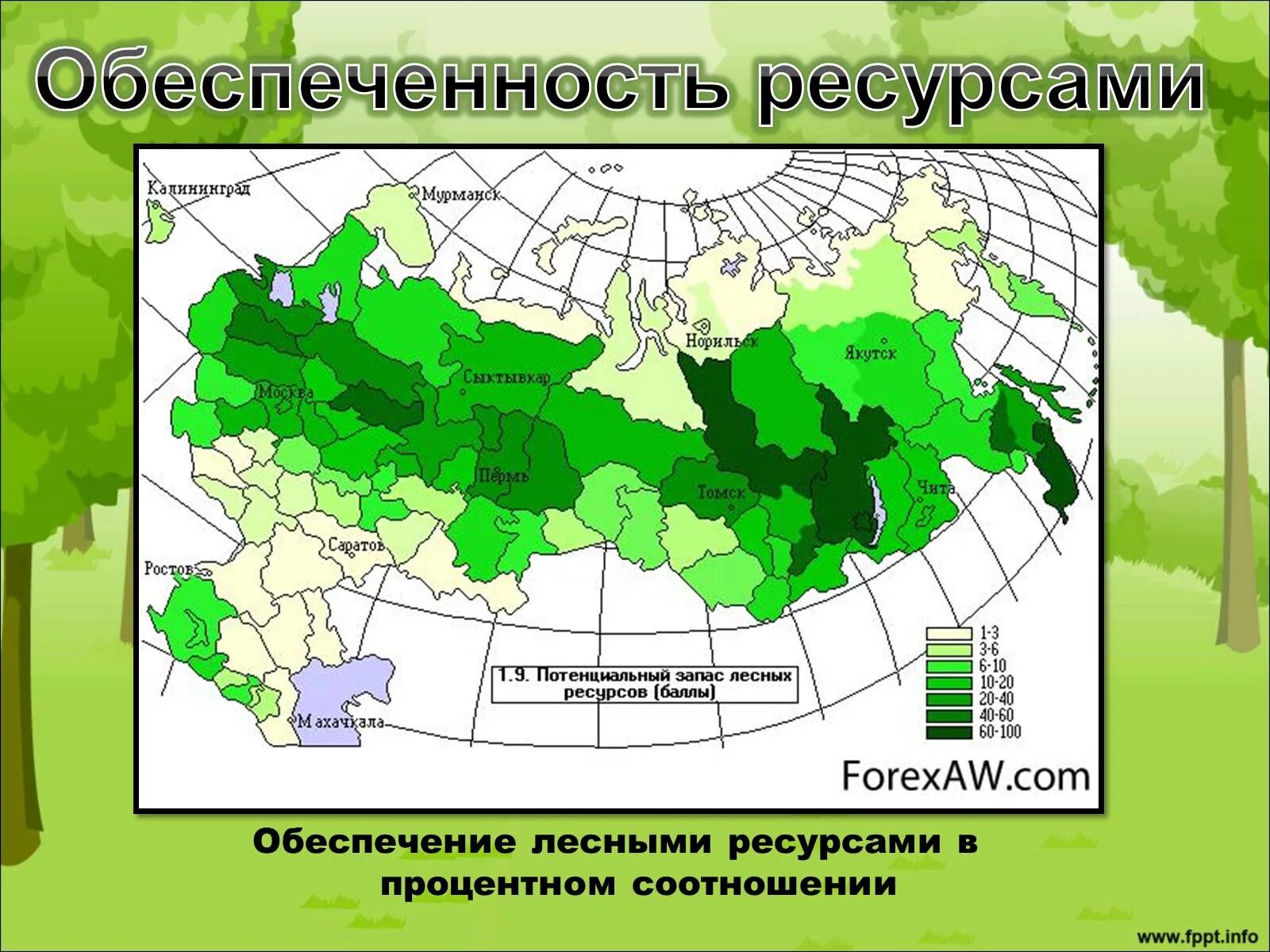 Население смешанных лесов народы