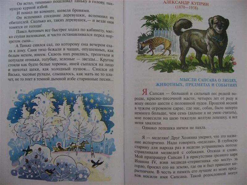 Рассказы для 2 класса внеклассное чтение. Книжки для 5ого класса для внеклассного чтения. внеклассное чтение 6 класс рассказы. произведения для школьников 3 класса.
