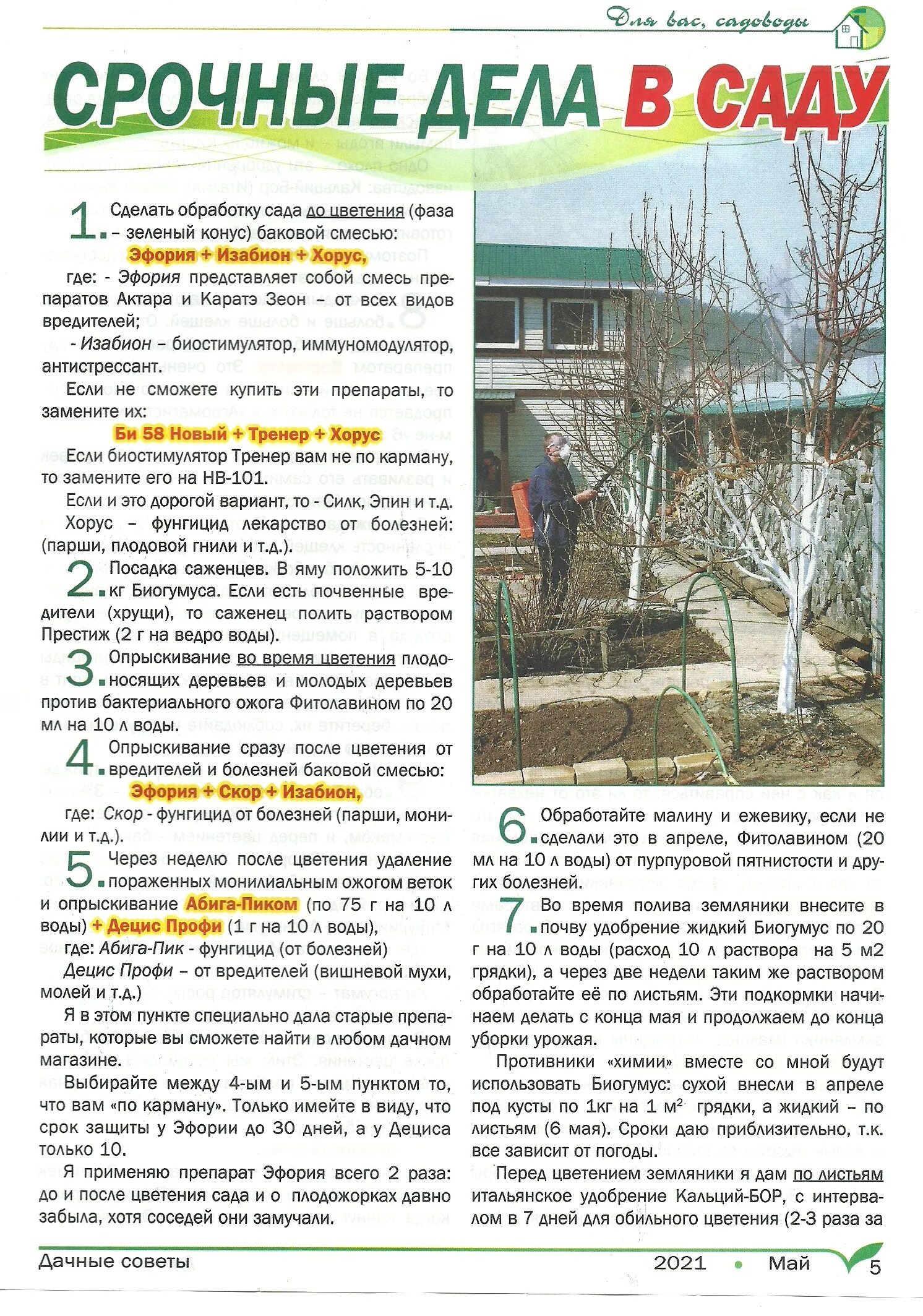 Старосельцева дачные советы. Дачные советы семена алтая. Старосельцева дачные советы. Авир бокс с галиной старосельцевой. Дачные советы галины старосельцевой передача.