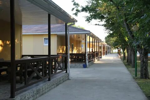 Криница детский лагерь