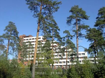 Санатории г сестрорецка