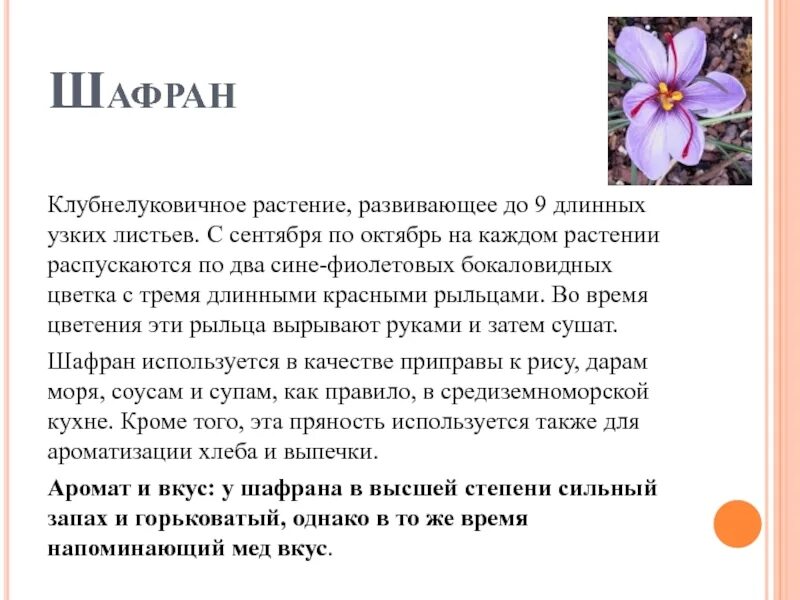 Шафран вред. Лечебная трава Шафран. Шафран лекарственное растение. Полезные сарймтва Шафран. Чем полезны цветки шафрана.