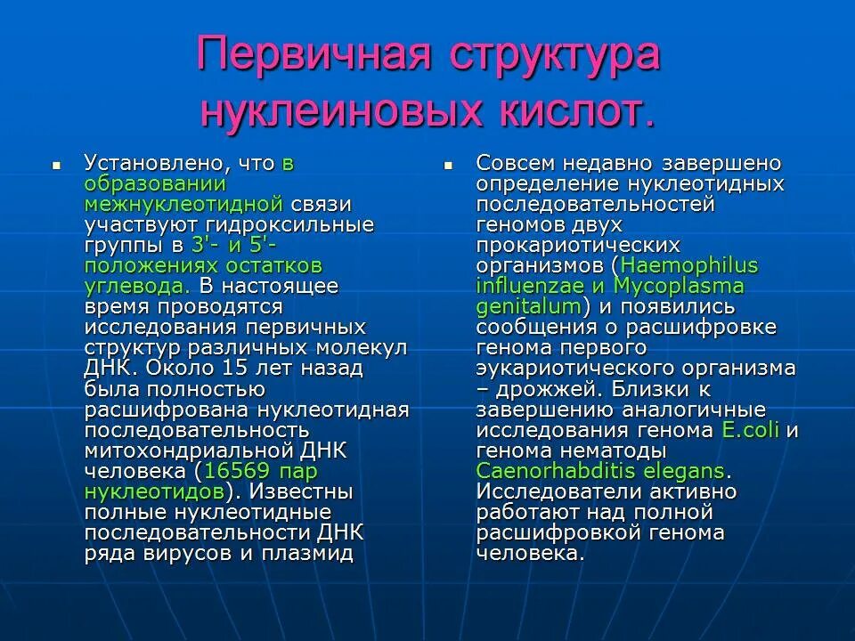 Презентация на тему ДНК. ДНК расшифровка. Как расшифровывается ДНК полностью. ДНК расшифровка аббревиатуры.