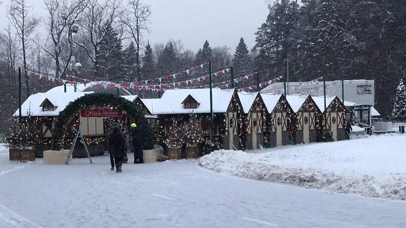 Парк Ларисы Лазутиной. Парк имени Лазутиной в Одинцово. Парк Ларисы Лазутиной в Одинцово. Парк Лазутиной Одинцово зима.