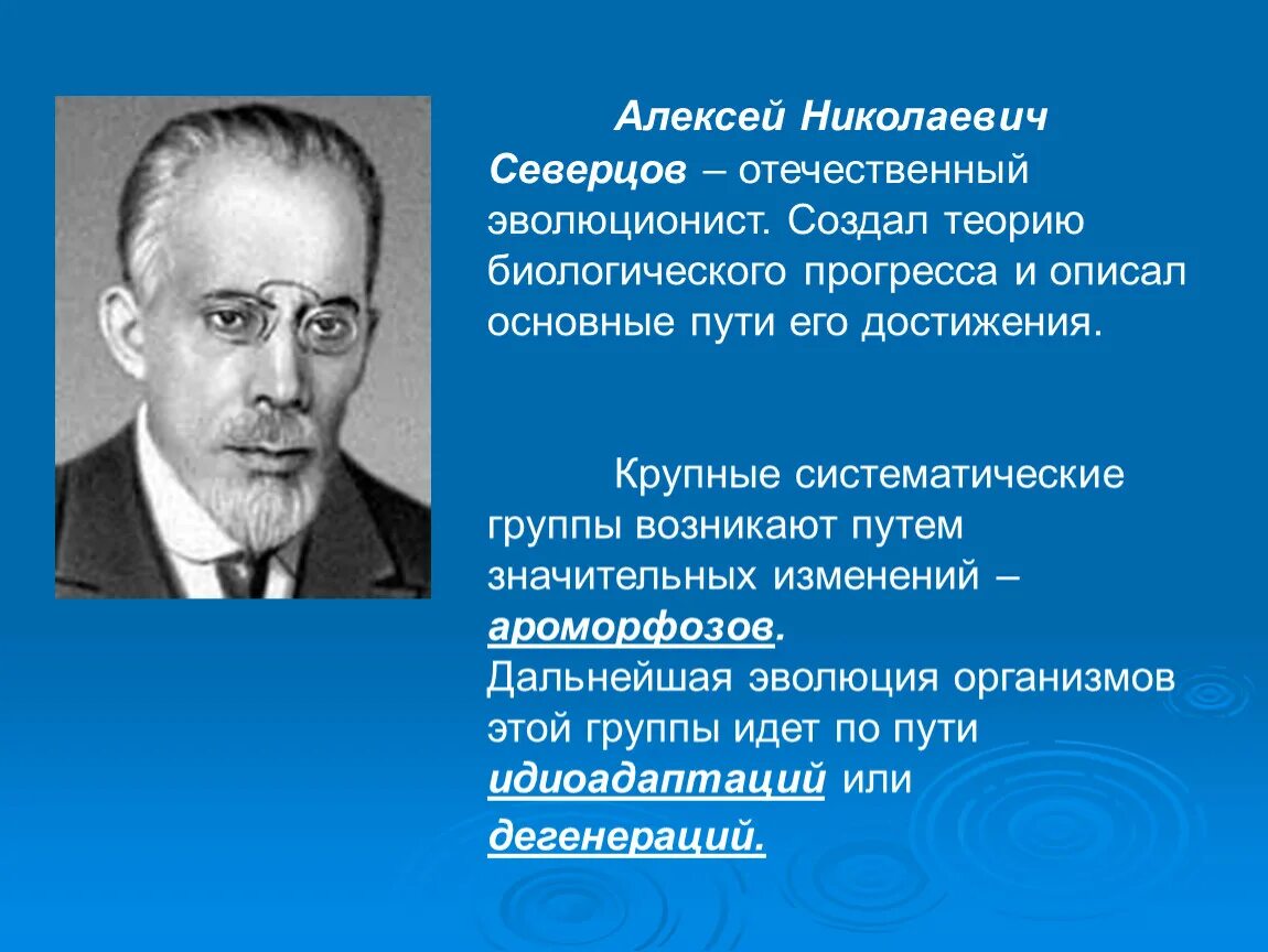 Направление эволюции северцов. А Н Северцов вклад в биологию.