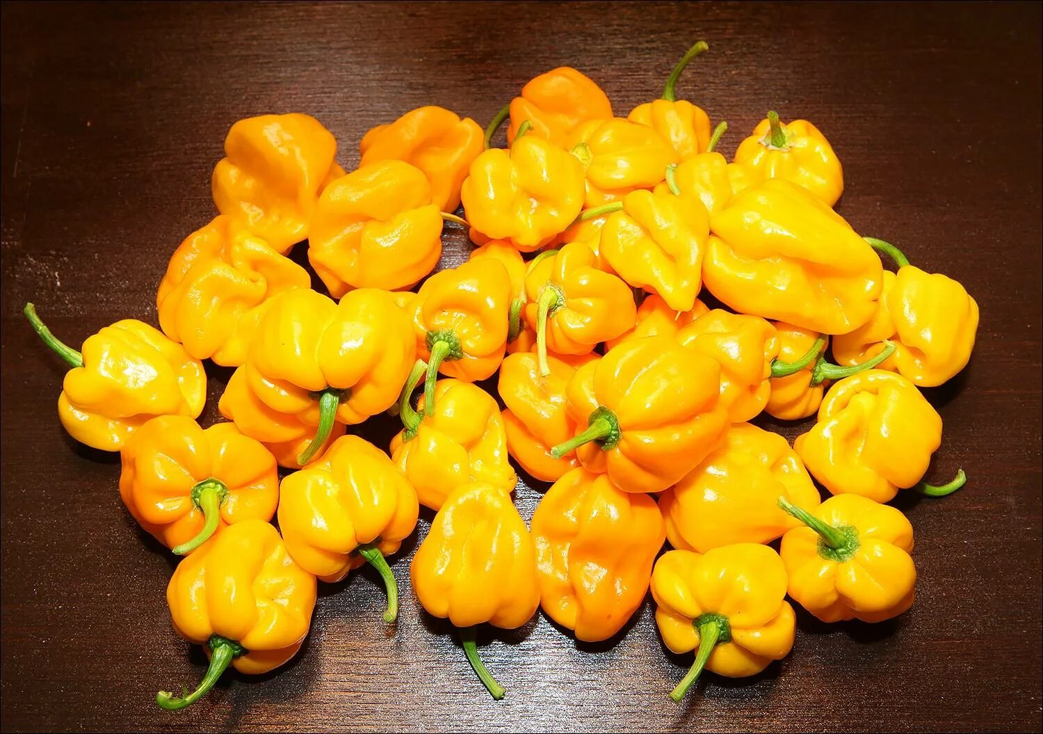 Семена Орешка Острый перец Habanero Mustard 5 шт. - купить в интернет-магазине п