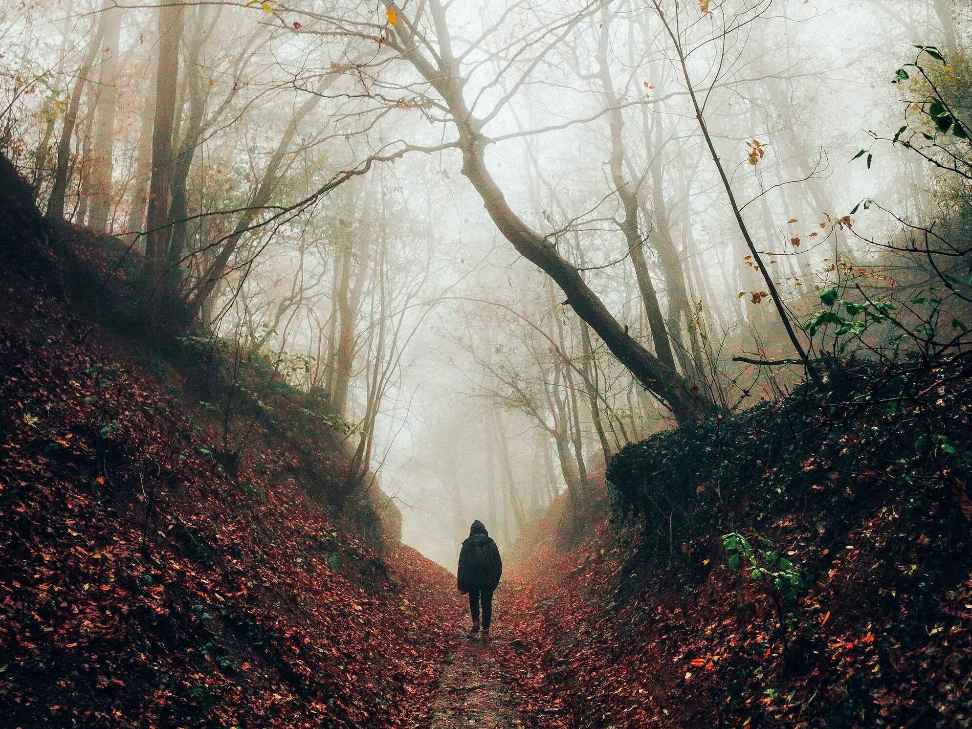 Девушка в тумане. Туман одиночество. Одинокий лес. Осень одиночество.