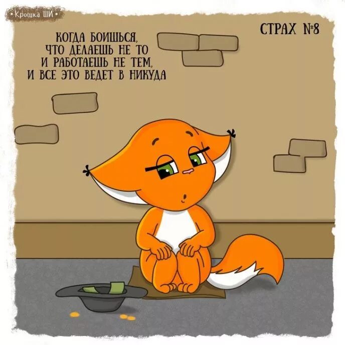 белочка ши.