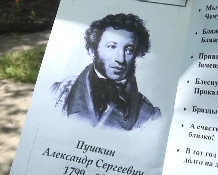 Пушкин каких кровей. Какие языки знал Пушкин. 6 Июня день рождения знаменитостей. Пушкин какой он был человек. Пушкин какого цвета волосы.