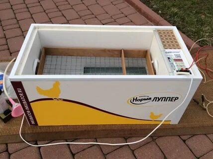 Инкубатор норма
