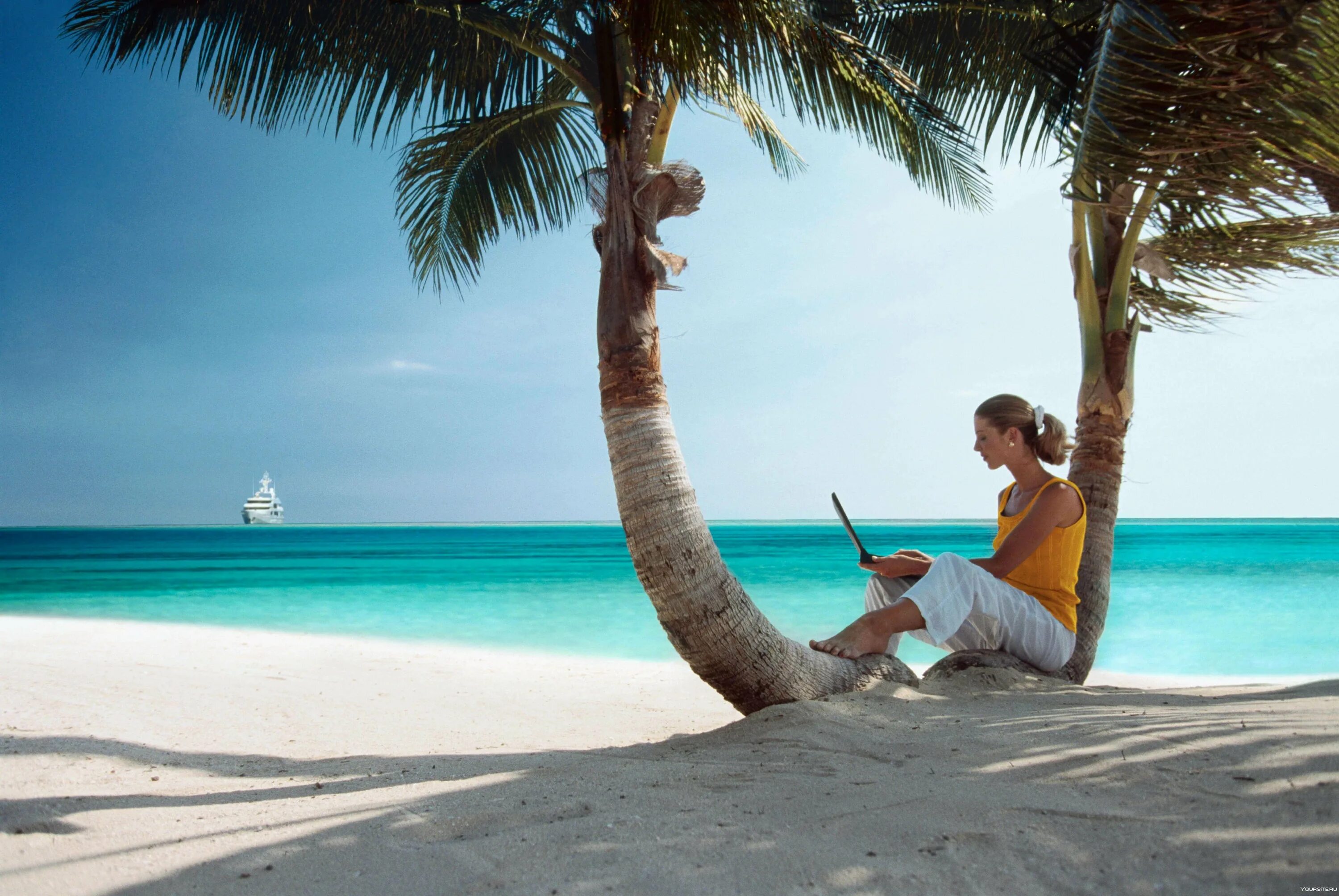 Заработай путешествуя. Ноутбук под пальмой. Девушка на Пальме. Человек под пальмой. Фрилансер под пальмой.