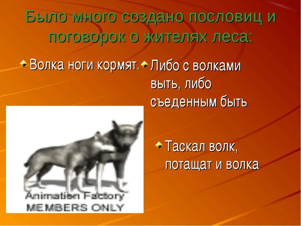 Поговорки о животных. Пословицы и поговорки про волка. Пословицы про волка. Пословицы про зверей. Текст волк и собака