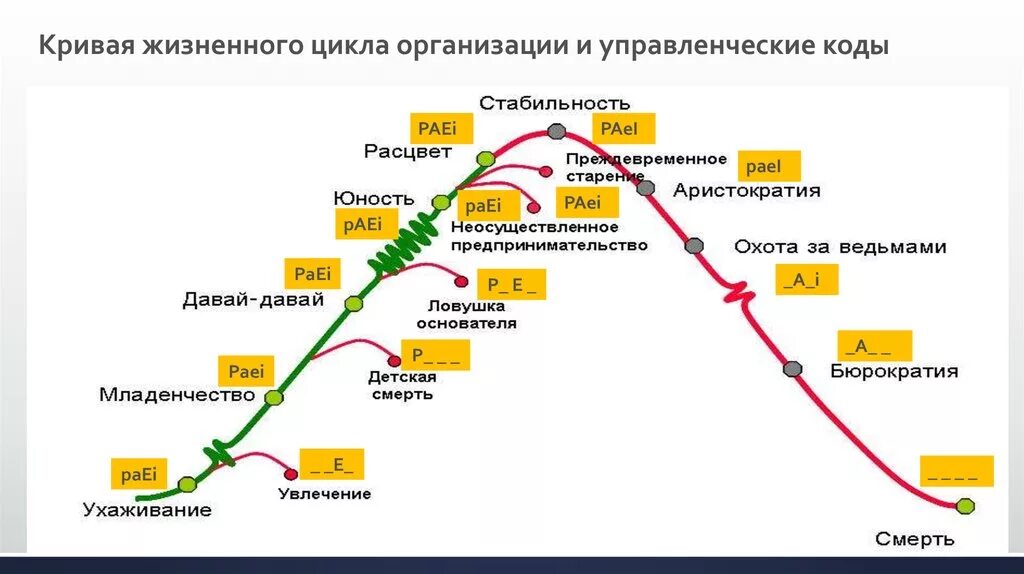 Россия на какой стадии. Адизес жизненный цикл организации. Адизес этапы жизненного цикла организации. Адизес кривая жизненного цикла компании. Стадии жизненного цикла организации Адизес.