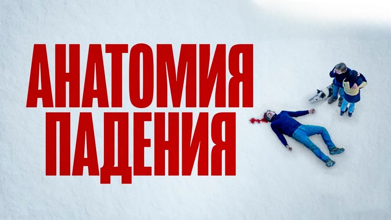 Анатомия падения чем закончился. Анатомия падения. анатомия падения трейлер.