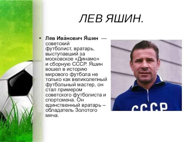 Игроки информация