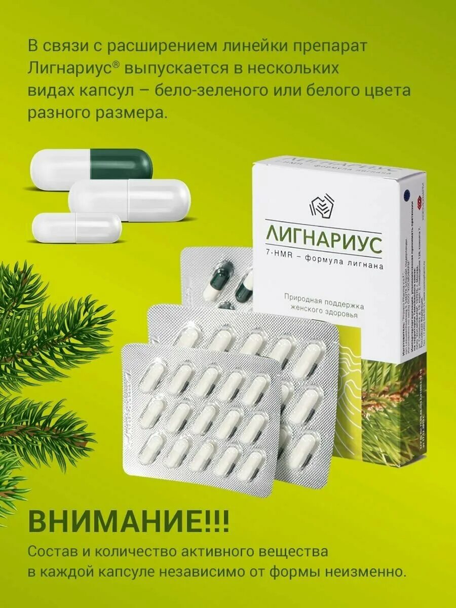 лигнариус 138 мг. лигнариус капсулы нидерландские. препарат лигнариус. 30. лигнариус.