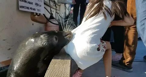 Поймала ребенка видео