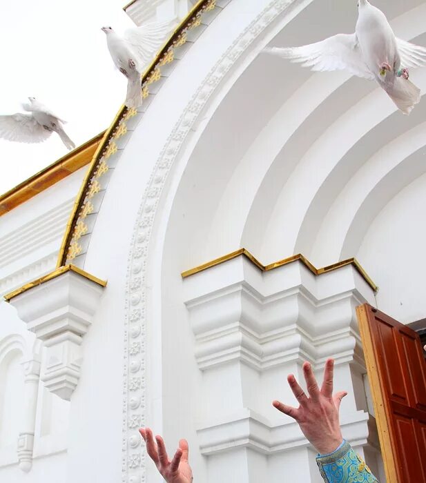 Благовещение голуби. Назарет храм православный Благовещения белый голубь. .Благовещение голубь Благовещение. Благовещение голуби храм на Приморском проспекте.