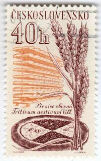 марка Чехословакия 40 геллер &quot;Wheat and bread&quot; 1961 год Г...