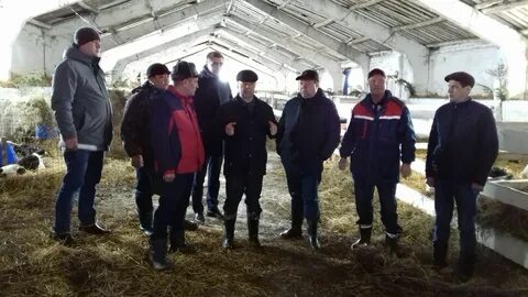 Агрофирма вакансии